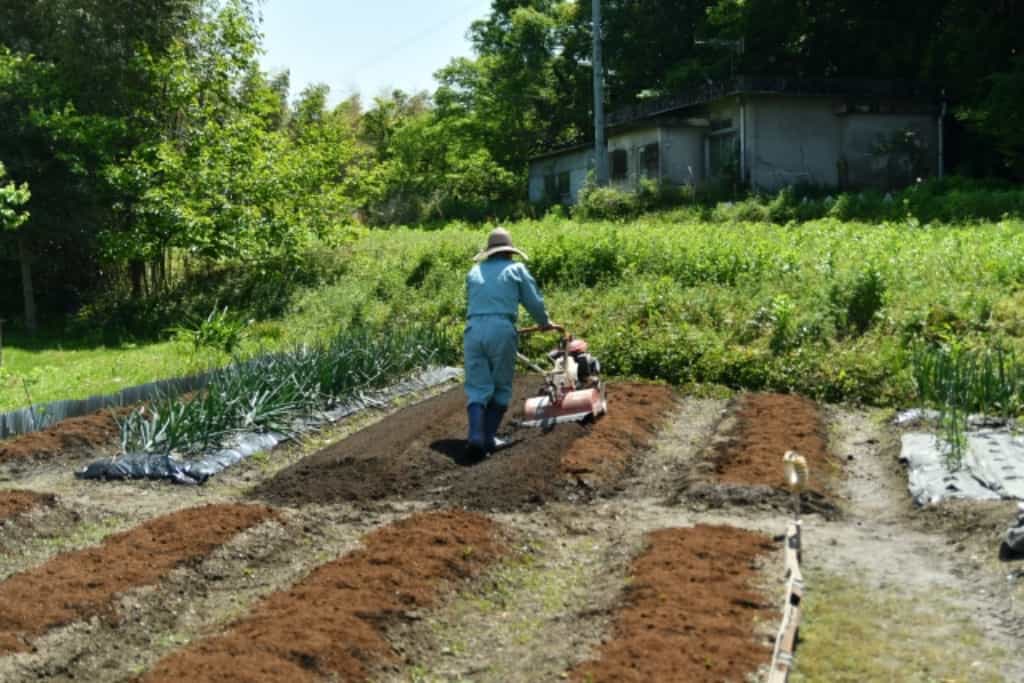 脱サラして農業を始めた人の現実